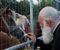 Ζητούν την παρέμβαση της Ιεράς Συνόδου για τον περιορισμό των εγκλημάτων κατά των ζώων
